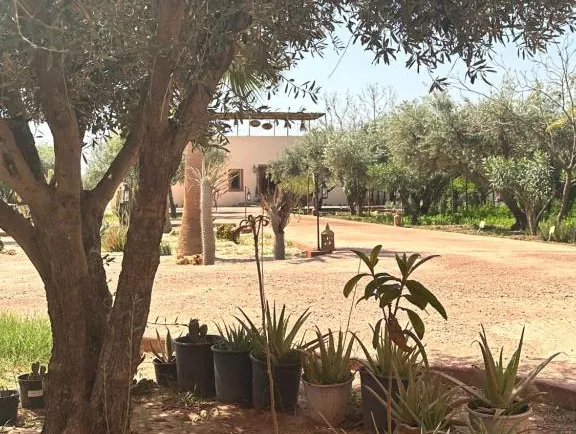 Domaine d’Exception à Usage Touristique – À Vendre Route de Ouarzazate — photograph 8