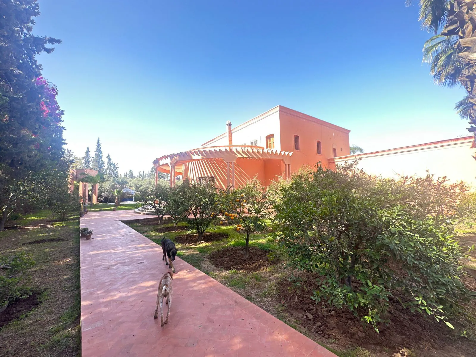 Eine herrliche Villa — Foto 1